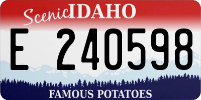 ID license plate E240598