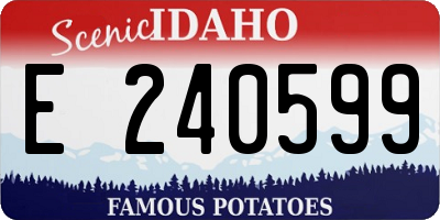 ID license plate E240599