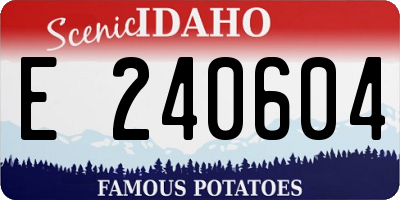 ID license plate E240604