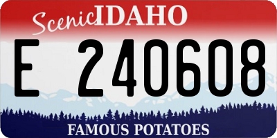 ID license plate E240608