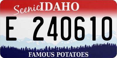 ID license plate E240610