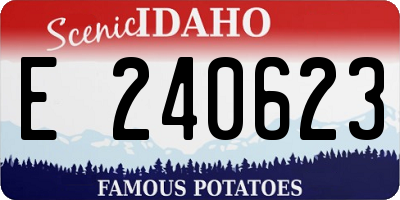 ID license plate E240623