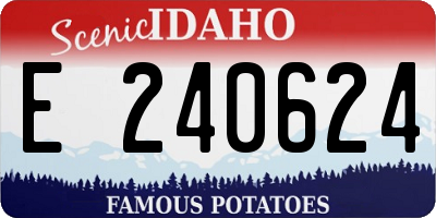 ID license plate E240624