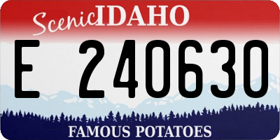 ID license plate E240630