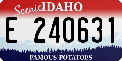 ID license plate E240631