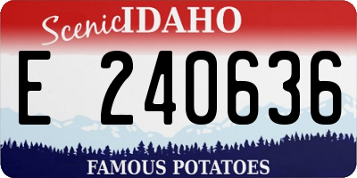 ID license plate E240636