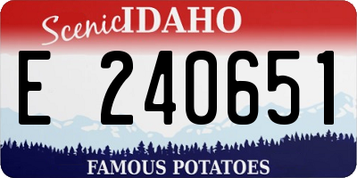 ID license plate E240651