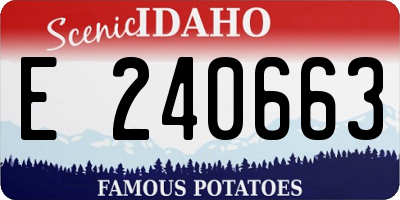 ID license plate E240663