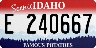 ID license plate E240667