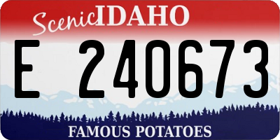ID license plate E240673