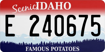 ID license plate E240675