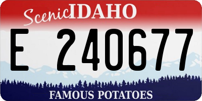 ID license plate E240677