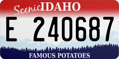 ID license plate E240687
