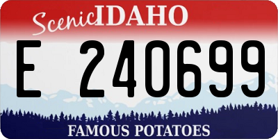 ID license plate E240699
