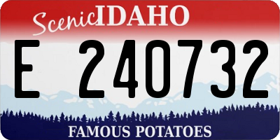 ID license plate E240732