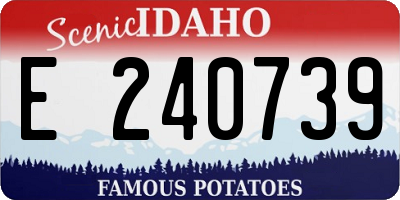 ID license plate E240739