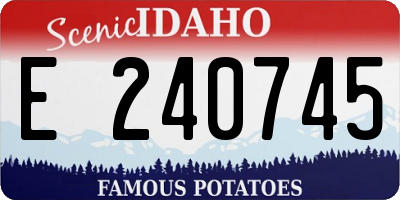 ID license plate E240745