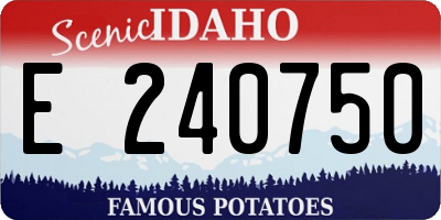 ID license plate E240750
