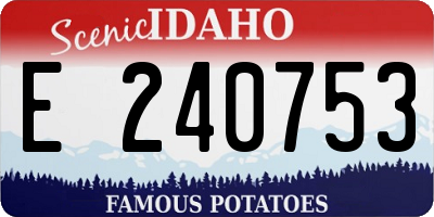 ID license plate E240753