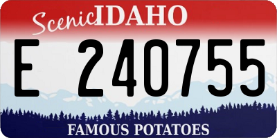 ID license plate E240755