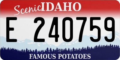 ID license plate E240759