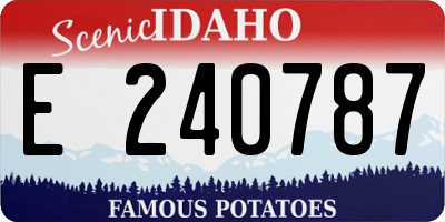 ID license plate E240787