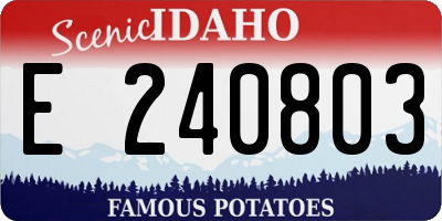 ID license plate E240803