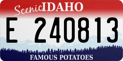 ID license plate E240813