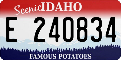 ID license plate E240834