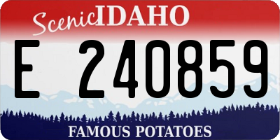 ID license plate E240859