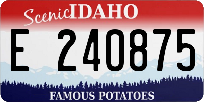 ID license plate E240875