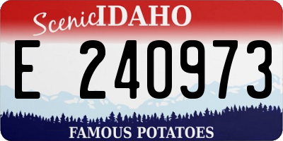 ID license plate E240973