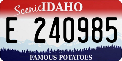 ID license plate E240985