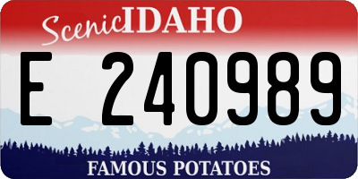 ID license plate E240989