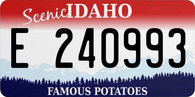 ID license plate E240993