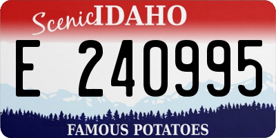 ID license plate E240995