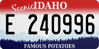 ID license plate E240996