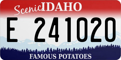 ID license plate E241020