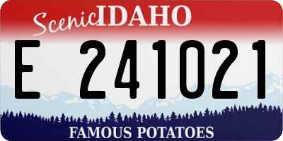ID license plate E241021