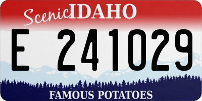 ID license plate E241029