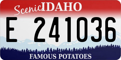 ID license plate E241036