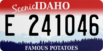 ID license plate E241046