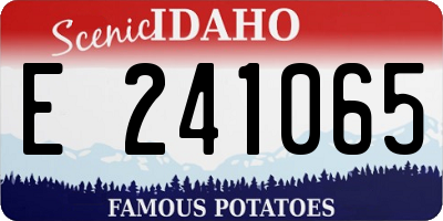 ID license plate E241065
