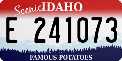 ID license plate E241073