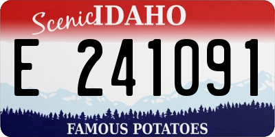 ID license plate E241091