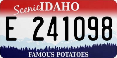 ID license plate E241098