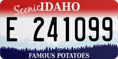 ID license plate E241099