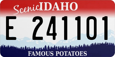 ID license plate E241101