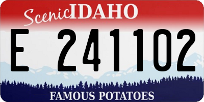 ID license plate E241102