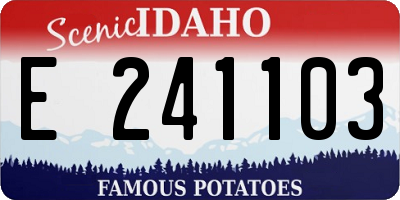 ID license plate E241103